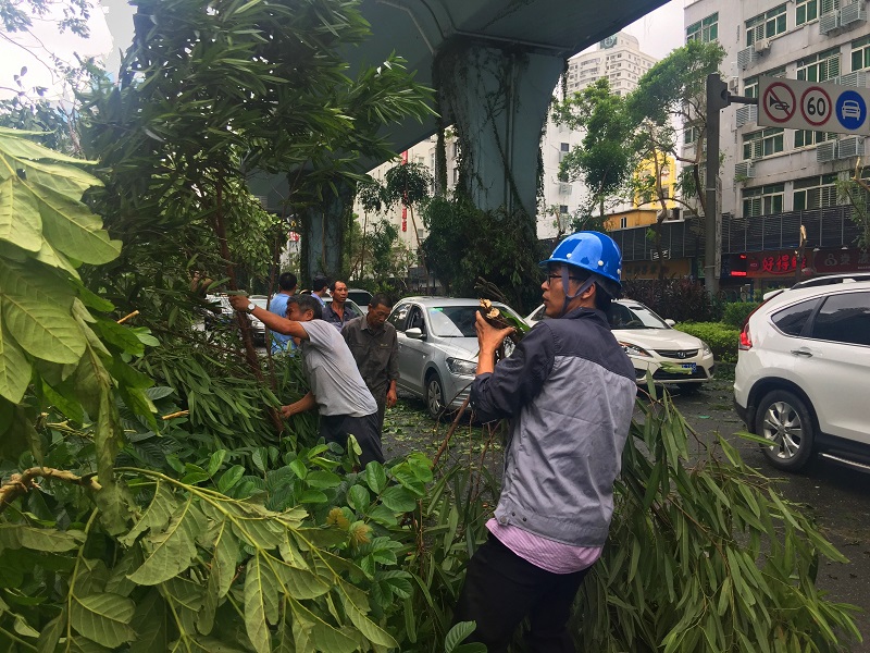 風(fēng)雨無阻，保衛(wèi)家園，我們在行動