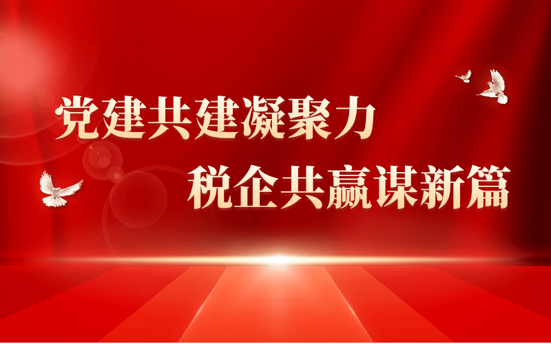 黨建共建聚合力  稅企共贏謀新篇